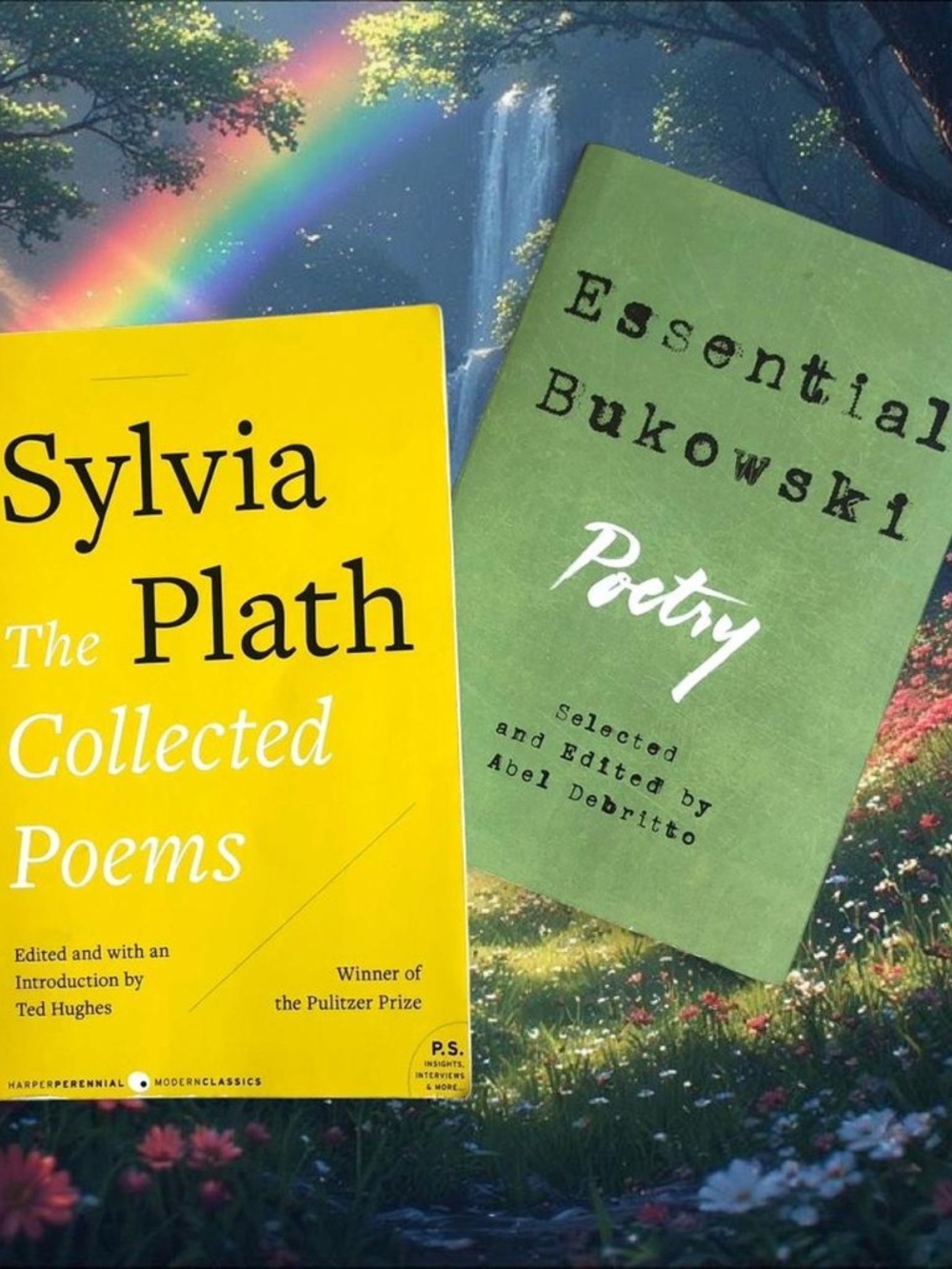 Poetry Book Bundle